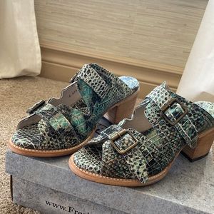 Freebird caprice turquoise multi snake size 10